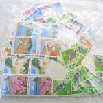 RIMG0075