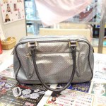 ゲラルディーニ