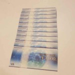 VJAギフト100010枚8-17