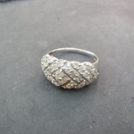 rimg0318