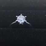 IMG_3565
