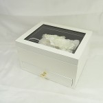 RIMG0685