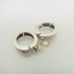 RIMG0693